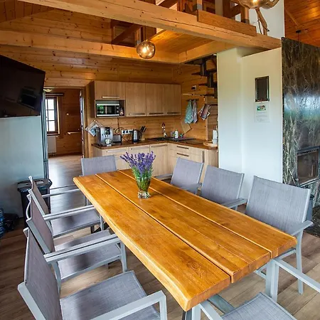 Villa Tarnawianka Apart, Jacuzzi, Sauna, Bilard Tarnawa Gorna (Lesser Poland)